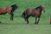 /album/boje/snimek-135-jpg/